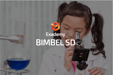 Bimbel SD Jogja
